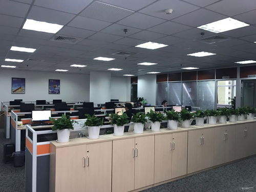 看準網視角 企業總部管理的成功密碼——快速發展與優質工作環境