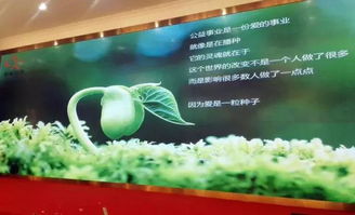 以刀為筆，以玉載道 福建省寶協玉石雕刻專業委員會藝術公益之路